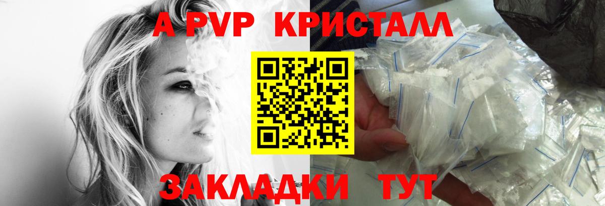 Альфа ПВП СК КРИС Донецк