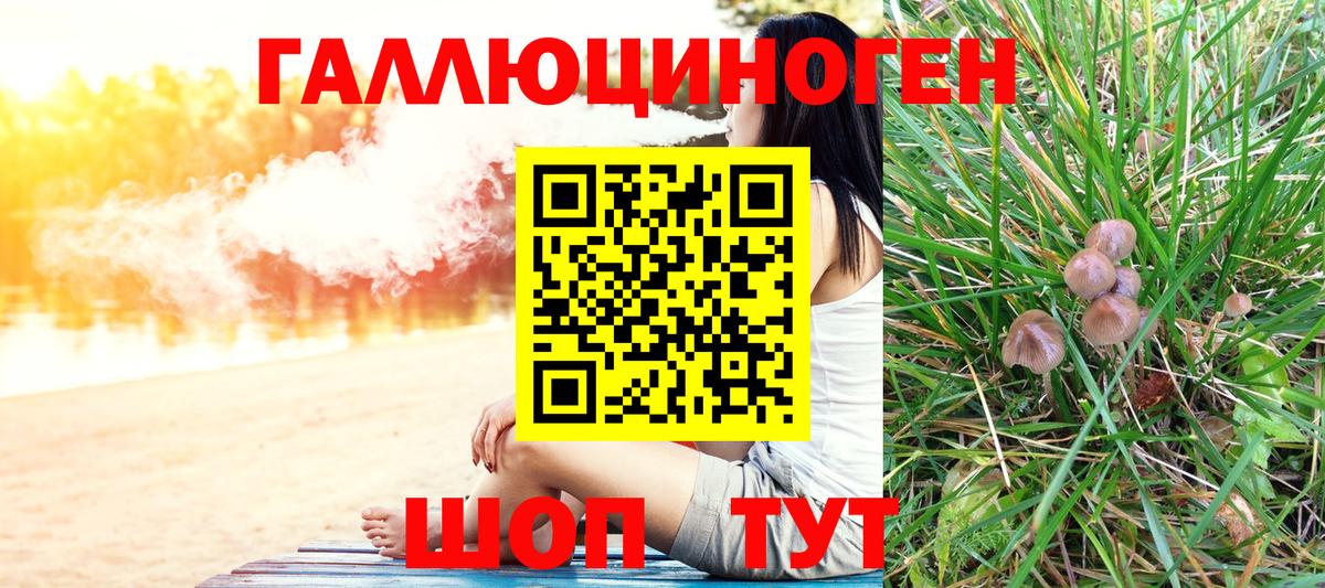 Донецк  Псилоцибиновые грибы Cubensis  Вход с VPN 